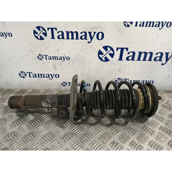 Amortiguador Delantero Izquierdo para Peugeot 207