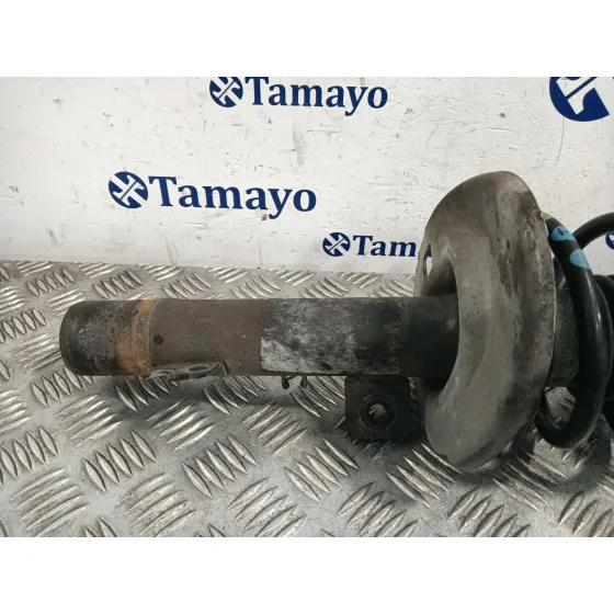 Amortiguador Delantero Izquierdo para Peugeot 207