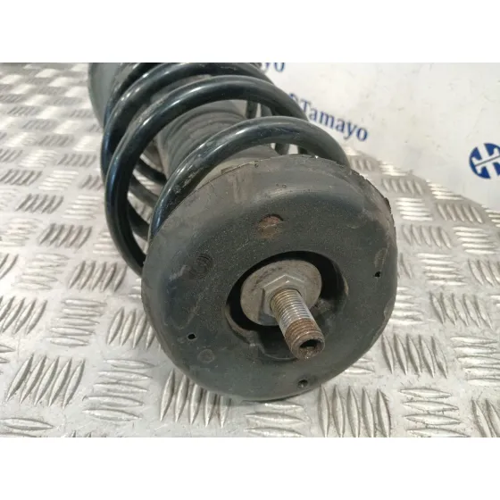 Amortiguador Delantero Izquierdo para Peugeot 207