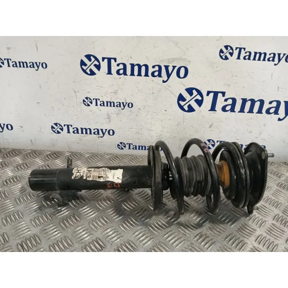 Amortiguador Delantero Izquierdo para Bmw Mini (R50,R53)