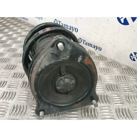 Amortiguador Delantero Izquierdo para Bmw Mini (R50,R53)