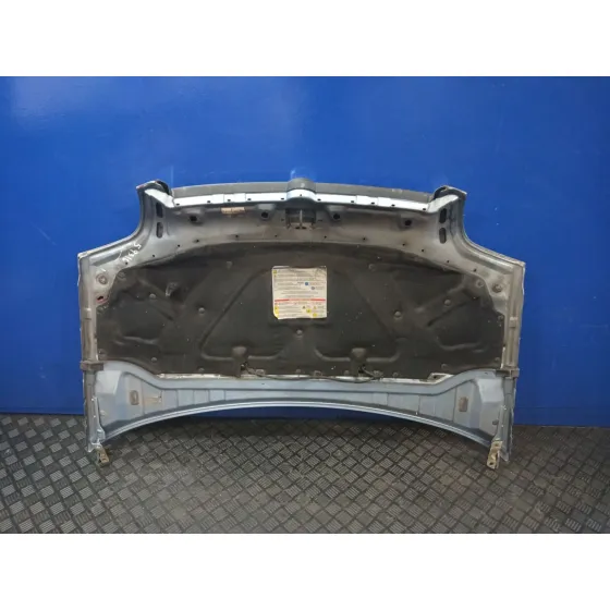 Capot para Fiat Doblo Furgoneta/Monovolumen (223_)
