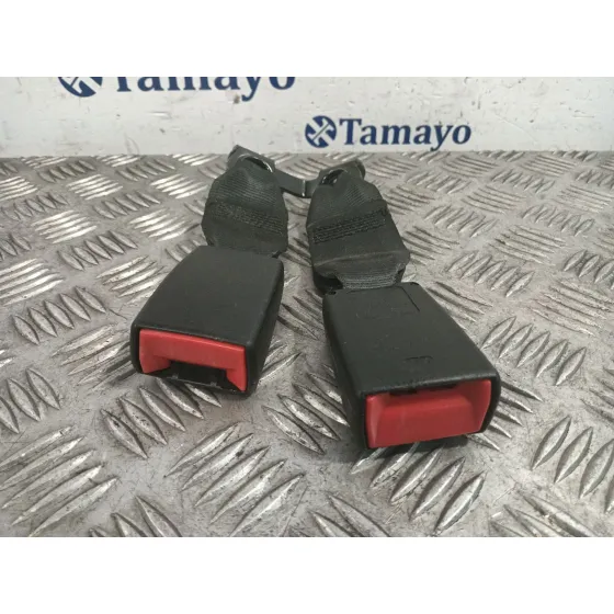 Anclaje Cinturon Trasero Central para Citroën C3 I (Fc_, Fn_)