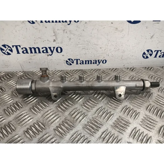 Rampa Inyectora para Mercedes-Benz Viano (W639)