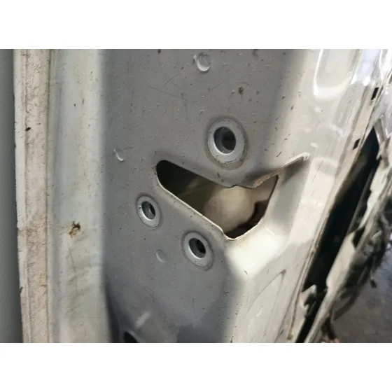 Puerta Delantera Izquierda para Renault Master Iii Furgoneta (Fv)