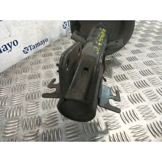Amortiguador Delantero Izquierdo para Renault Master Iii Furgoneta (Fv)