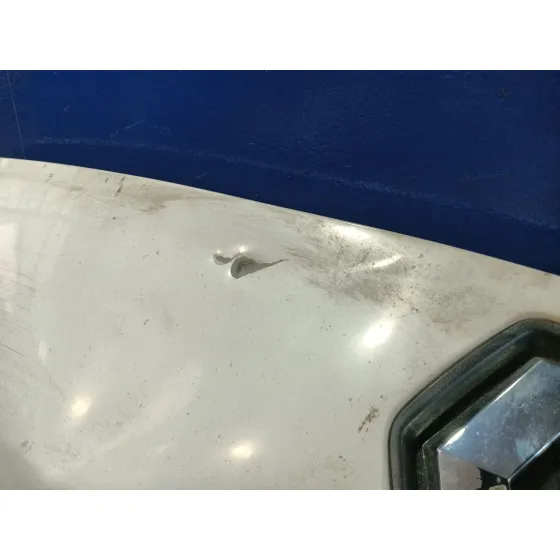 Capot para Renault Master Iii Furgoneta (Fv)