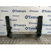 Intercooler para Bmw 1 (E81)