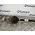 Transmision Delantera Derecha para Opel Corsa D (S07)