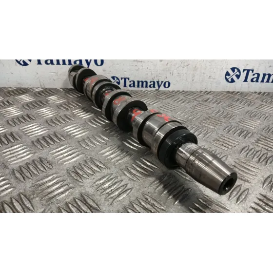 Arbol De Levas para Audi A4 B7 Avant (8Ed)