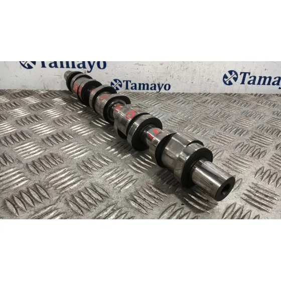 Arbol De Levas para Audi A4 B7 Avant (8Ed)