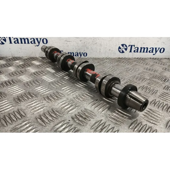 Arbol De Levas para Audi A4 B7 Avant (8Ed)
