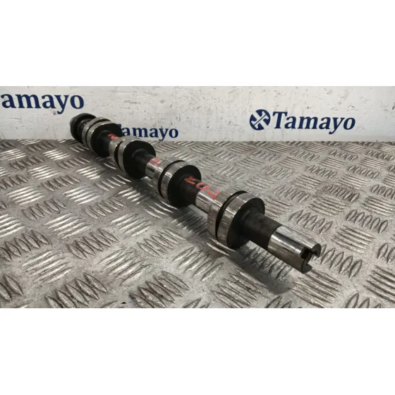 Arbol De Levas para Audi A4 B7 Avant (8Ed)