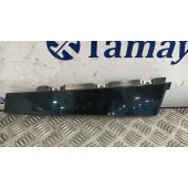 Moldura Exterior Delantera Derecha para Citroën C3