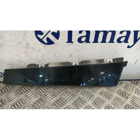 Moldura Exterior Delantera Derecha para Citroën C3