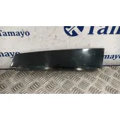 Moldura Puerta Trasera Izquierda para Skoda Octavia Lim. (5E3)