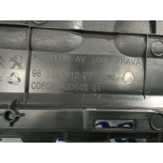 Guarnecido Puerta Delantera Derecha para Citroën C3