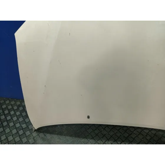 Capot para Lexus Rx