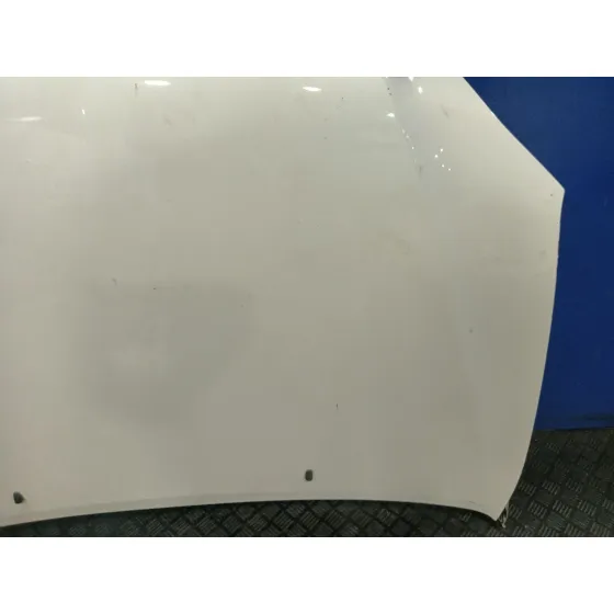 Capot para Lexus Rx
