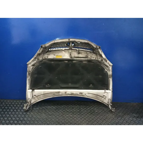 Capot para Lexus Rx