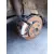 Pinza Freno Trasera Derecha para Toyota Auris (_E18_)