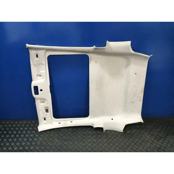 Techo Interior para Fiat 500 (312)