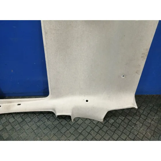 Techo Interior para Fiat 500 (312)