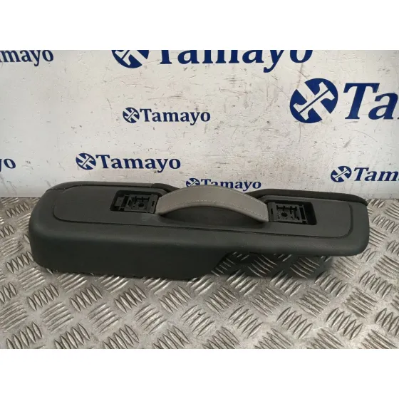 Moldura Puerta Delantera Derecha para Citroën C3