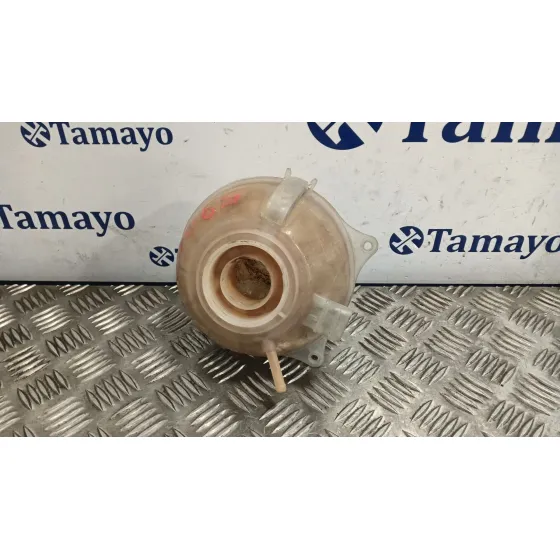 Deposito Expansion para Seat Ibiza (6J5)