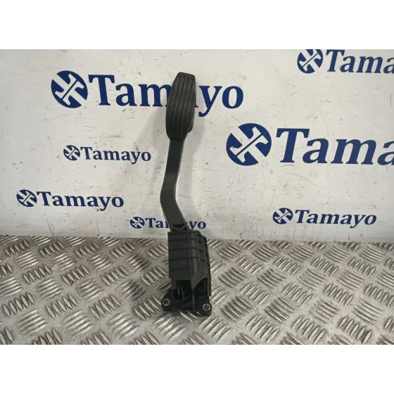 Potenciometro Pedal para Fiat 500 (312)