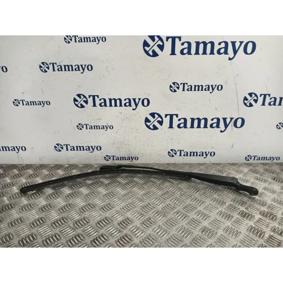 Brazo Limpia Delantero Izquierdo para Fiat 500 (312)