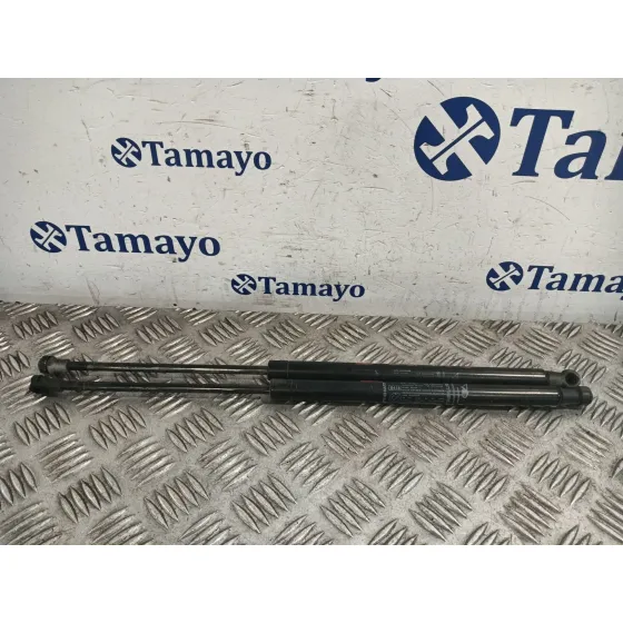 Amortiguadores Maletero / Porton para Fiat 500 (312)