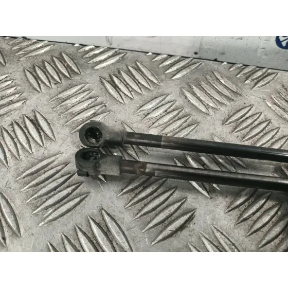 Amortiguadores Maletero / Porton para Fiat 500 (312)