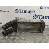 Intercooler para Citroën Xsara Picasso (N68)