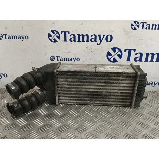 Intercooler para Citroën Xsara Picasso (N68)