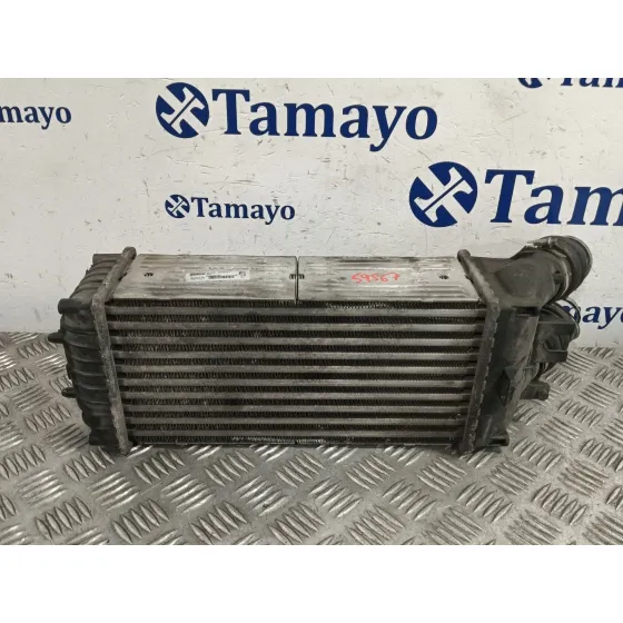 Intercooler para Citroën Xsara Picasso (N68)