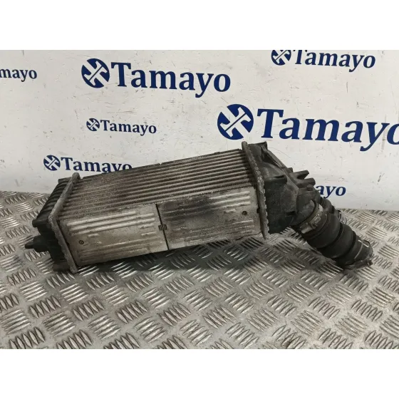 Intercooler para Citroën Xsara Picasso (N68)