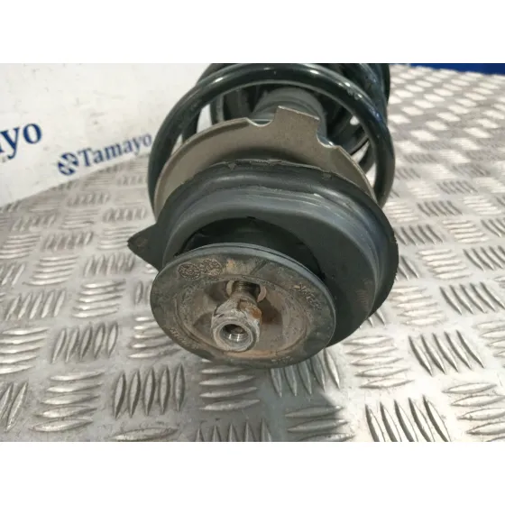 Amortiguador Delantero Izquierdo para Fiat 500 (312)