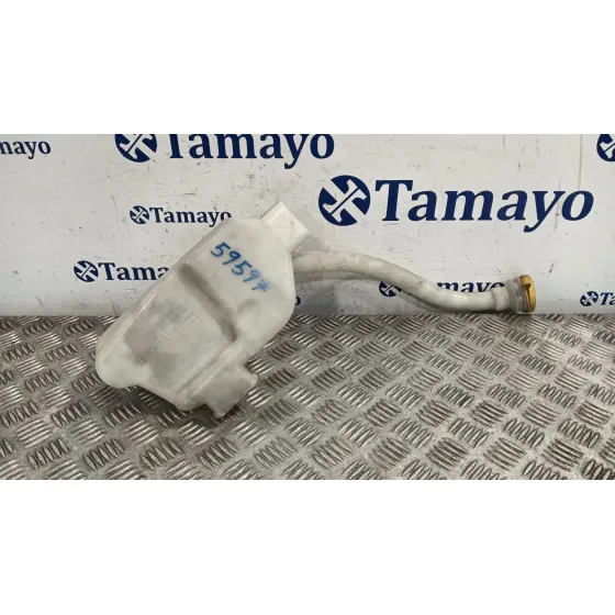 Deposito Limpia para Renault Kangoo Express (Fw0/1_)