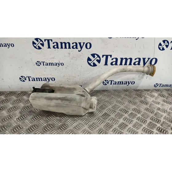 Deposito Limpia para Renault Kangoo Express (Fw0/1_)