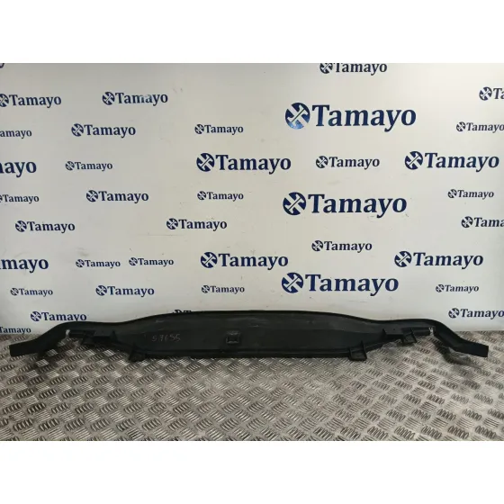 Moldura para Fiat 500 (312)