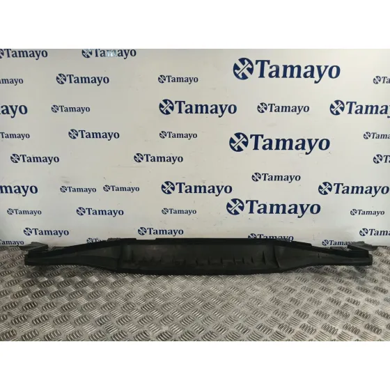 Moldura para Fiat 500 (312)
