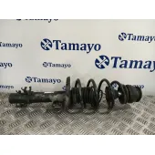 Amortiguador Delantero Derecho para Seat Ibiza (6J5)