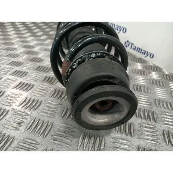 Amortiguador Delantero Derecho para Seat Ibiza (6J5)