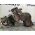Turbocompresor para Chrysler Voyager / Grand Voyager Iii (Gs_, Ns_)