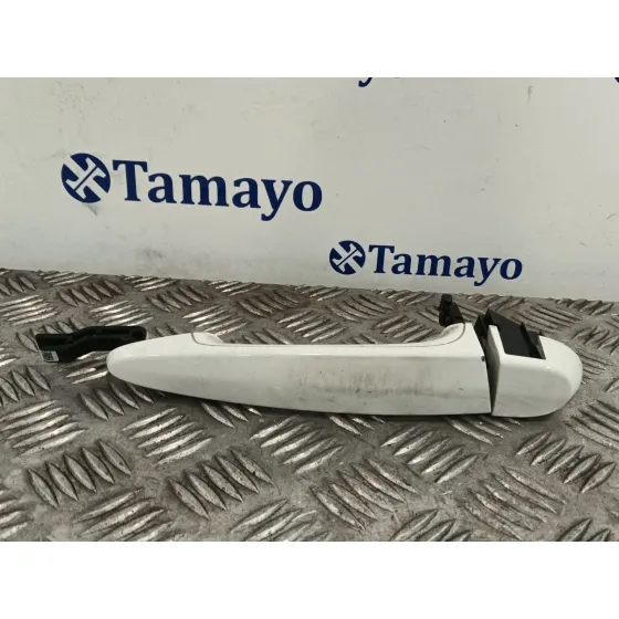 Maneta Exterior Trasera Derecha para Bmw 1 (F21)