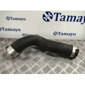Mangueras Intercooler para Renault Kangoo Express (Fw0/1_)