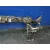 Panel Frontal para Renault Kangoo Express (Fw0/1_)
