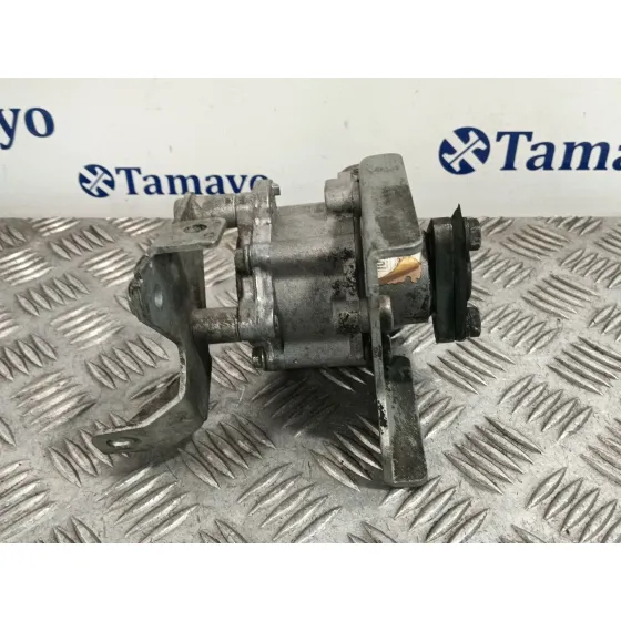 Bomba Direccion para Bmw 3 (E46)