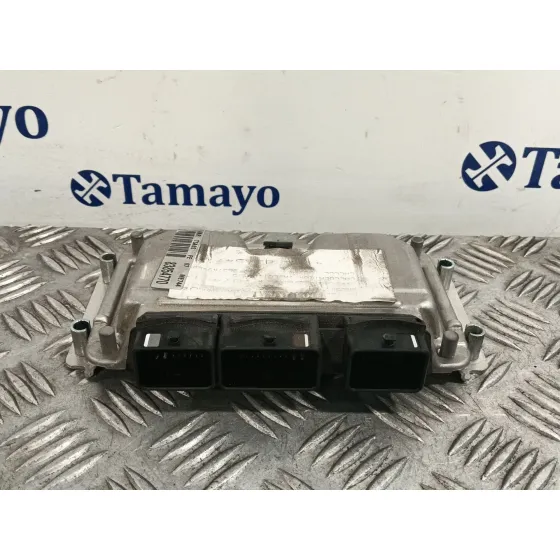 Centralita Motor Uce para Peugeot 307 (3A/C)